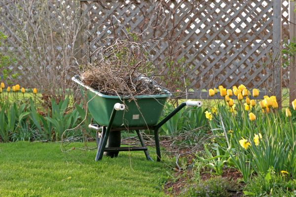 Flower Bed Cleanup Service in La Crosse