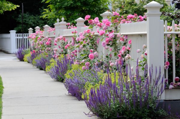 Garden Handyman Service in La Crosse