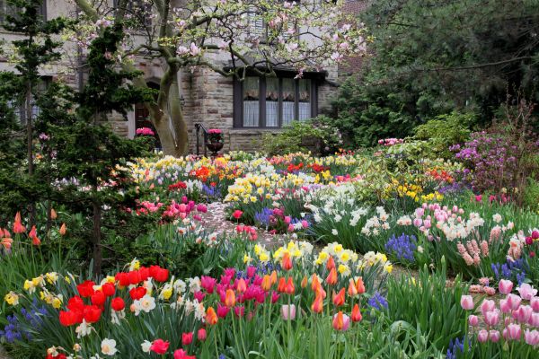 Garden Maintenance Service in La Crosse