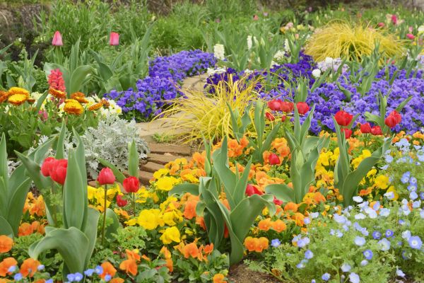 Garden Renovation in La Crosse