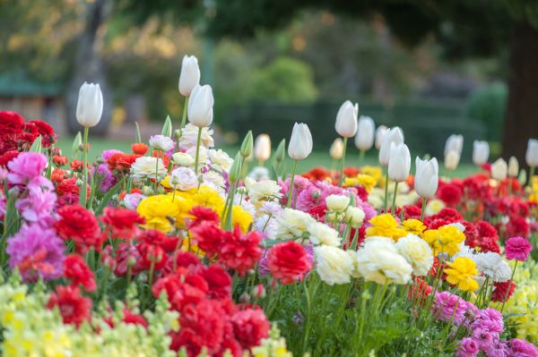 Gardening Service in La Crosse