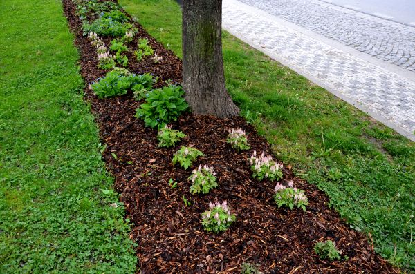 Mulch Replacement Service in La Crosse