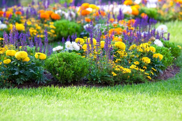 Garden Installation in La Crosse