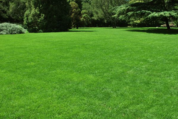 Lawn Landscaping in La Crosse