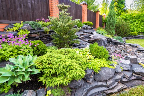 Landscape Remodeling in La Crosse