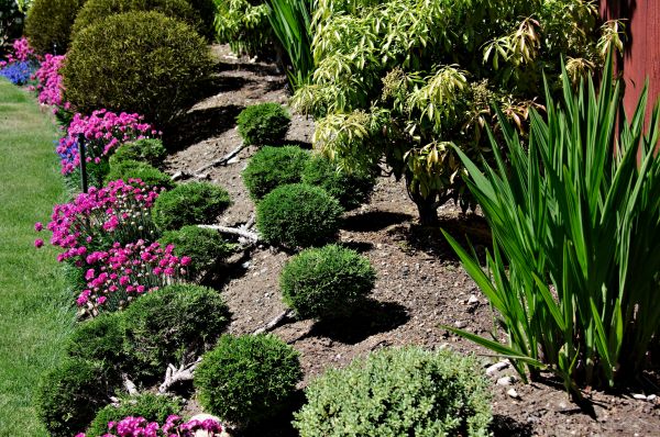 Residential Gardening in La Crosse