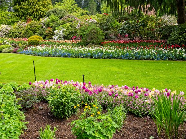 Residential Landscape Design in La Crosse