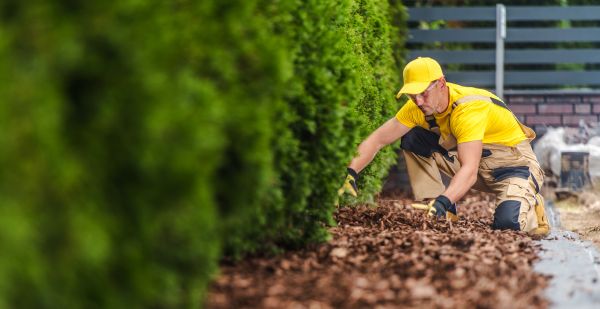 Cypress Mulch Installation in La Crosse
