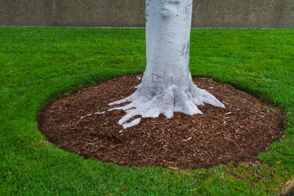 Brown Mulch Installation in La Crosse