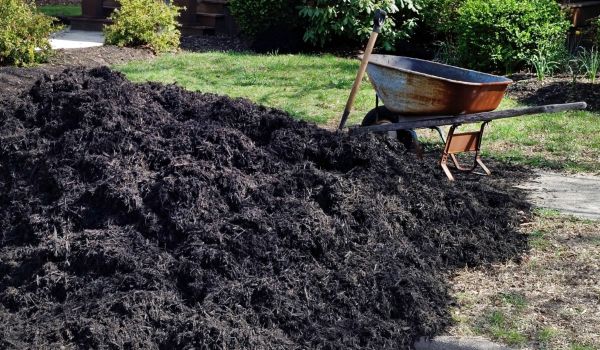 Black Mulch Installation in La Crosse