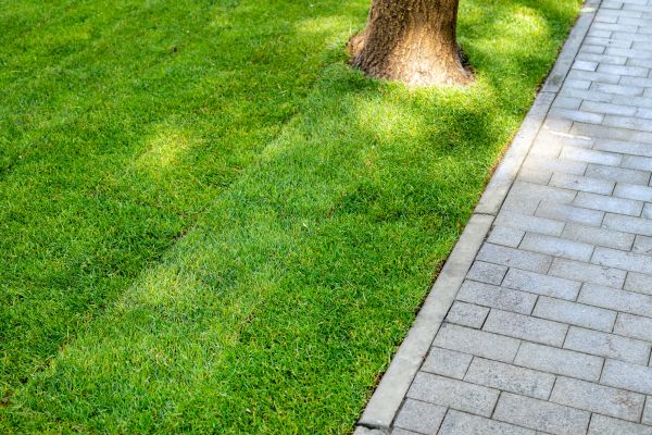 Border Stone Installation in La Crosse
