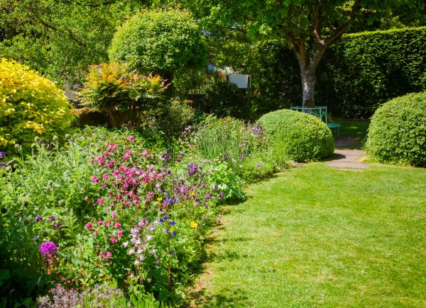 Yard Landscaping Service in La Crosse