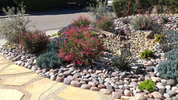 Xeriscape Landscaping in La Crosse