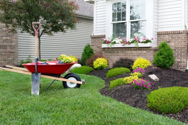 Tree And Shrub Planting in La Crosse