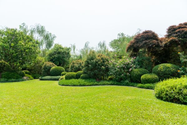Tree Landscaping in La Crosse
