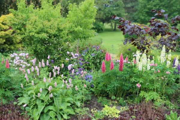 Flower Bed Planting in La Crosse