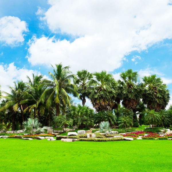 Tropical Landscaping in La Crosse