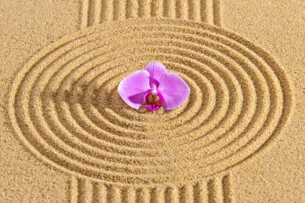 Sand Garden Landscaping in La Crosse