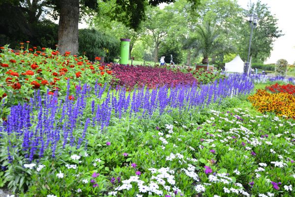 Perennials Planting in La Crosse