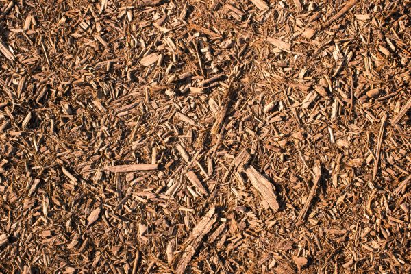 Wood Chips Removal in La Crosse