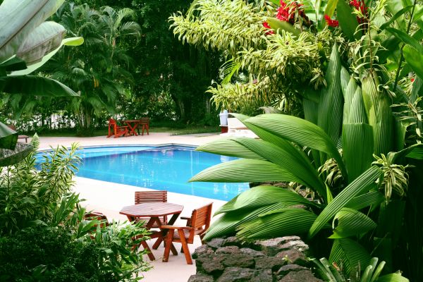 Pool Area Landscaping in La Crosse