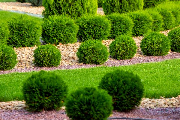Bush Replacement in La Crosse