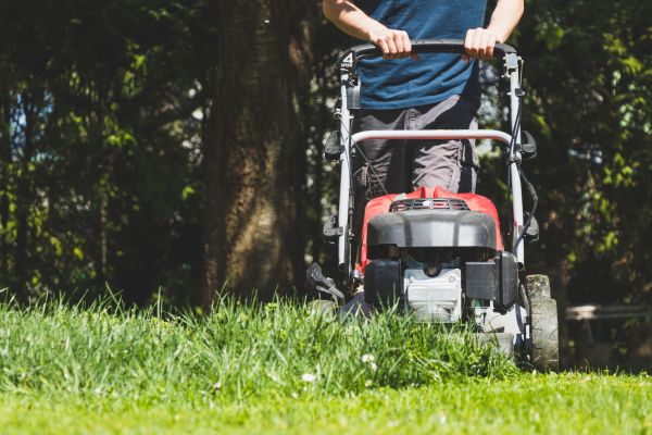 Garden Trimming Service in La Crosse