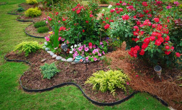 Floral Landscaping in La Crosse