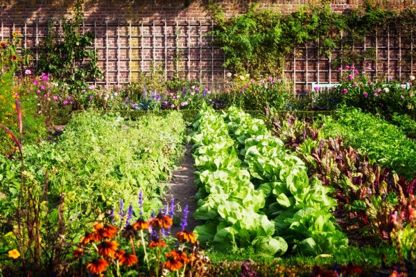 Garden Planting Service in La Crosse