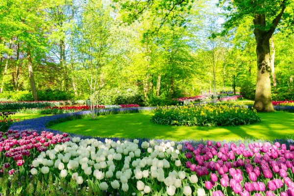 Flower Landscaping in La Crosse