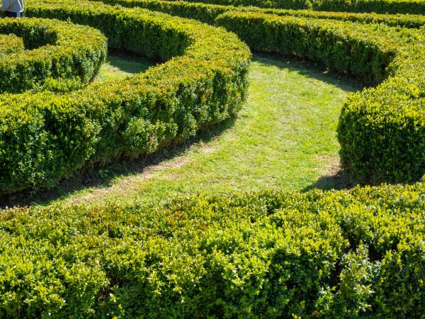 Bush Landscaping in La Crosse