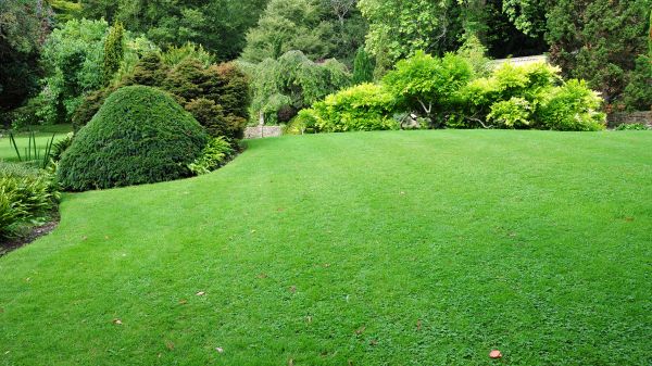 Commercial Landscape Design in La Crosse