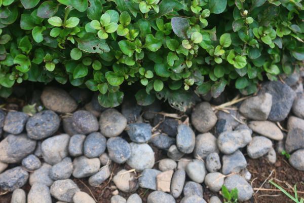River Stone Installation in La Crosse