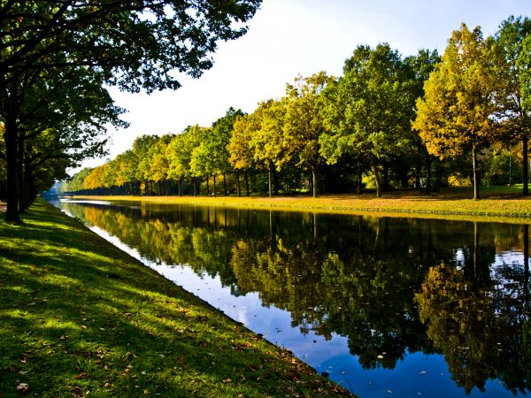 Bank Landscaping in La Crosse