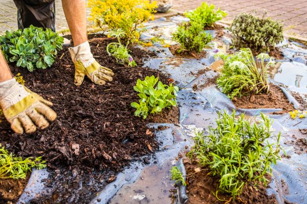 Mulch Fabric Installation in La Crosse