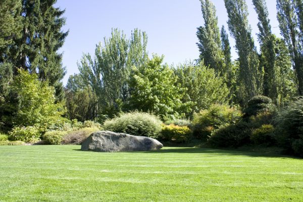 Yard Enlargement in La Crosse