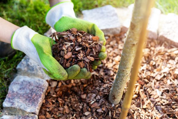 Tree Bark Delivery in La Crosse