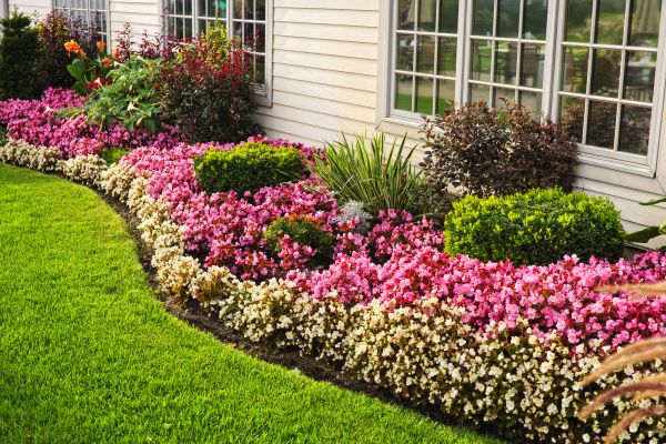 Garden Landscape Design in La Crosse