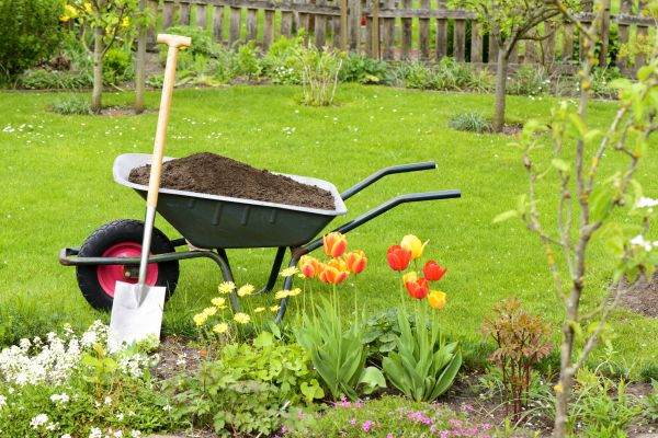 Spring Yard Renovation in La Crosse