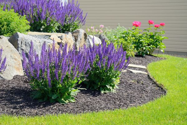 Landscape Planting Service in La Crosse