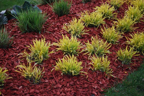 Red Mulch Installation in La Crosse