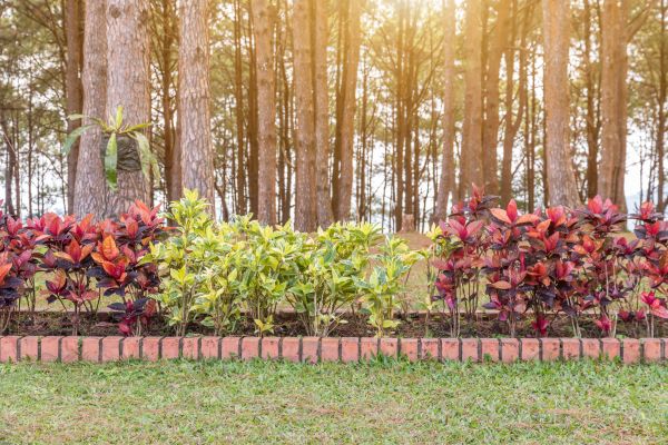 Small Garden Landscaping in La Crosse