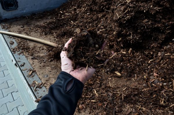 Condo Mulching in La Crosse
