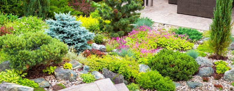 Xeriscape Landscaping